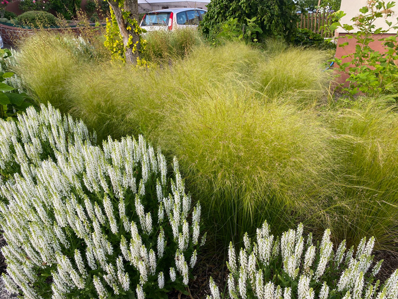 Grünkonzept Jacobi: Garten- und Landschaftsbau