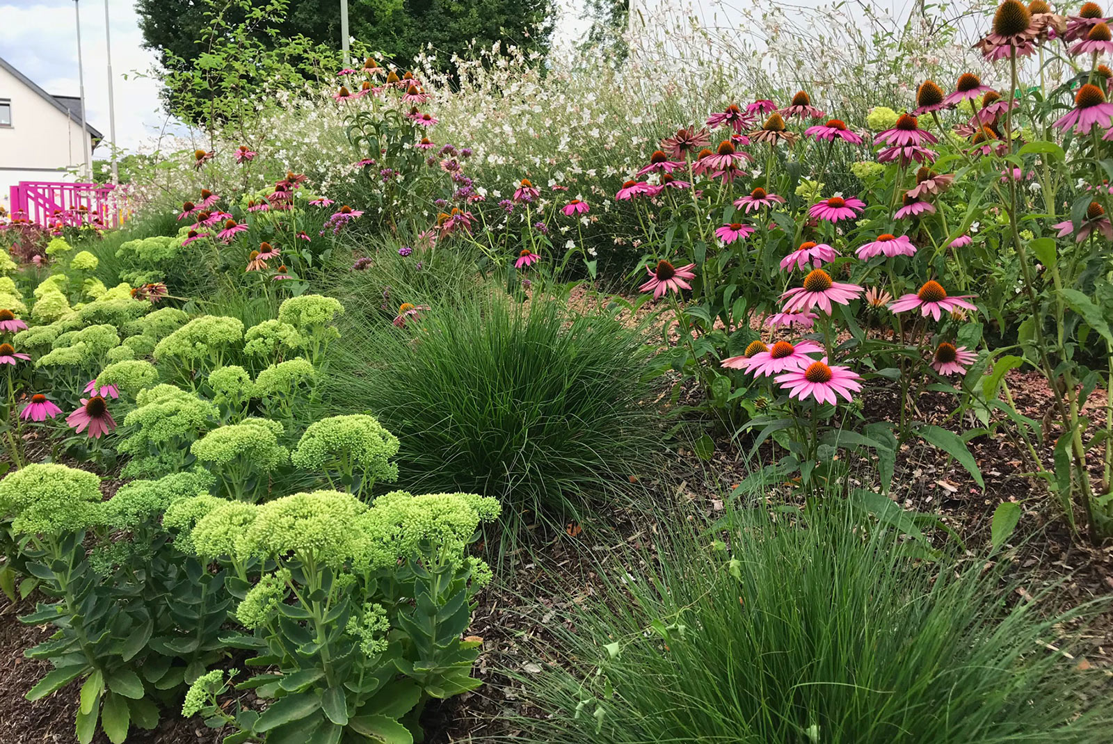 Grünkonzept Jacobi: Garten- und Landschaftsbau